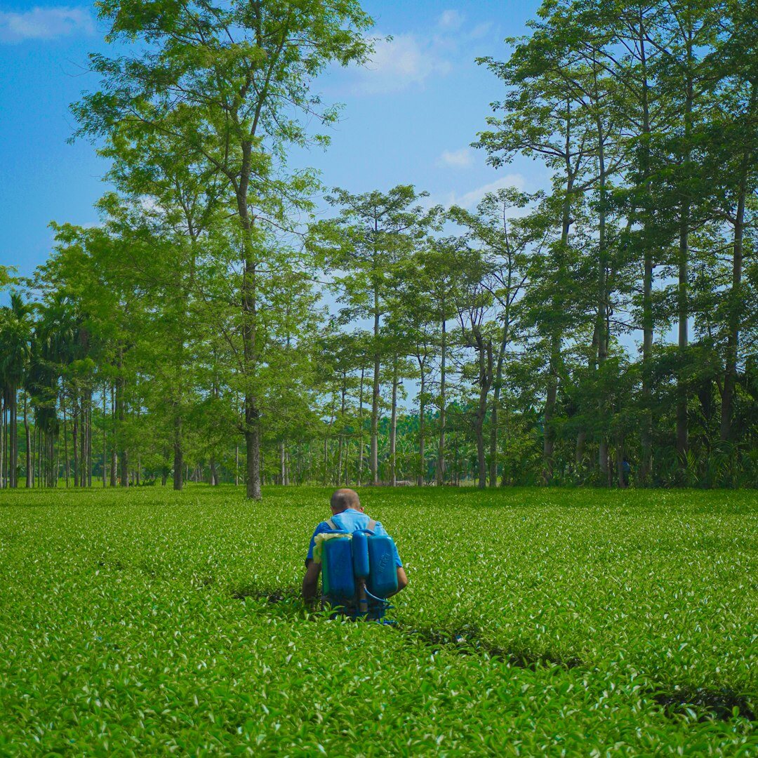 Chilean documentary photographer crouching to photograph a rural landscape