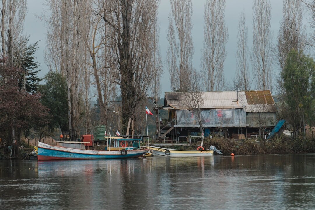 Colorful fishing village houses on the coast of southern Chile